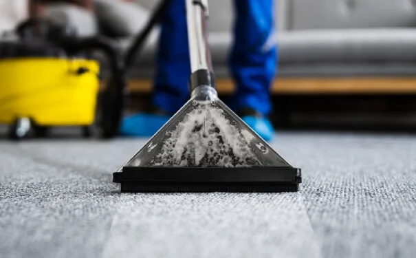 Floor carpet cleaner
