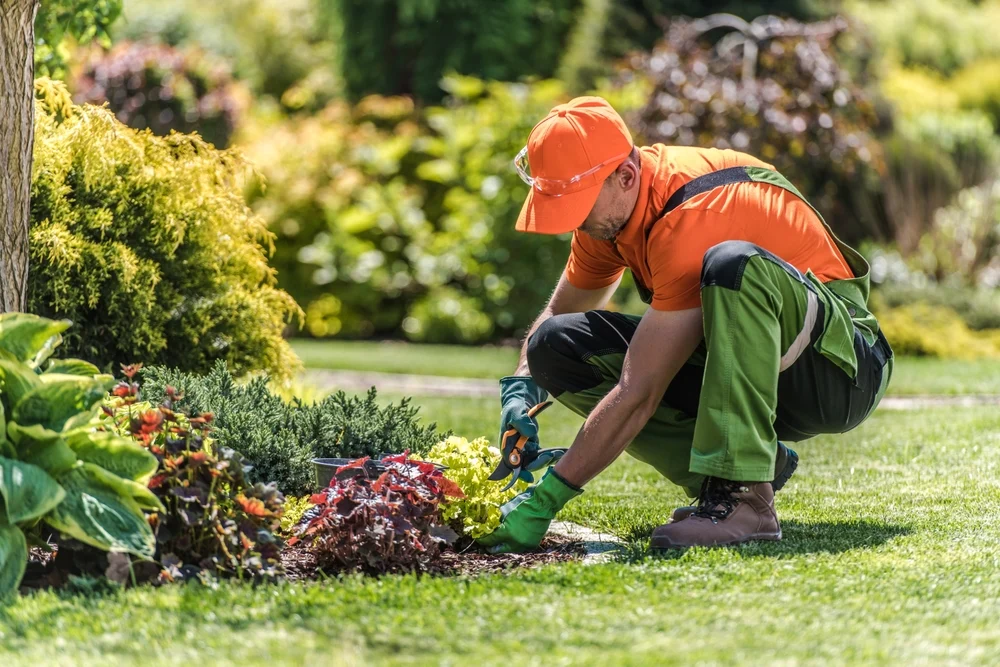 Creating Low Maintenance Landscapes for Busy Homeowners